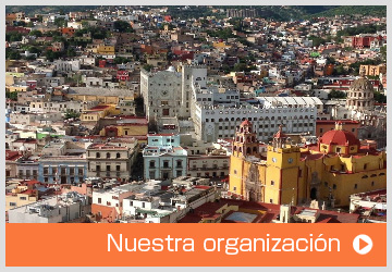 Nuestra organización